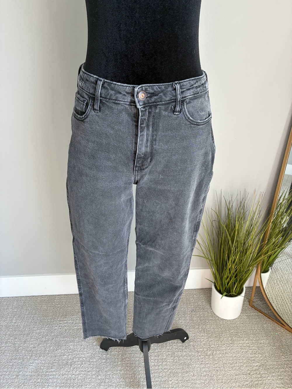 Hollister High Rise Straight Leg Jeans in Washed Black